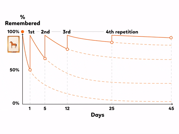 Forgetting-Curve-FINAL