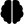 brain