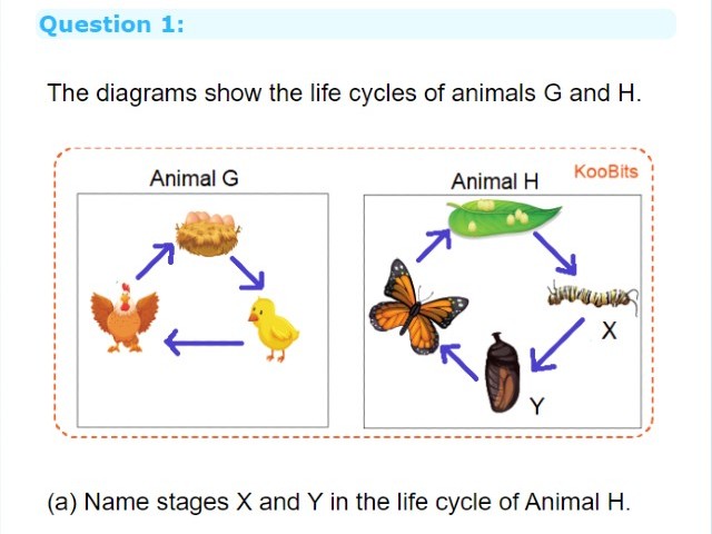 Sample KooQuiz Science Question